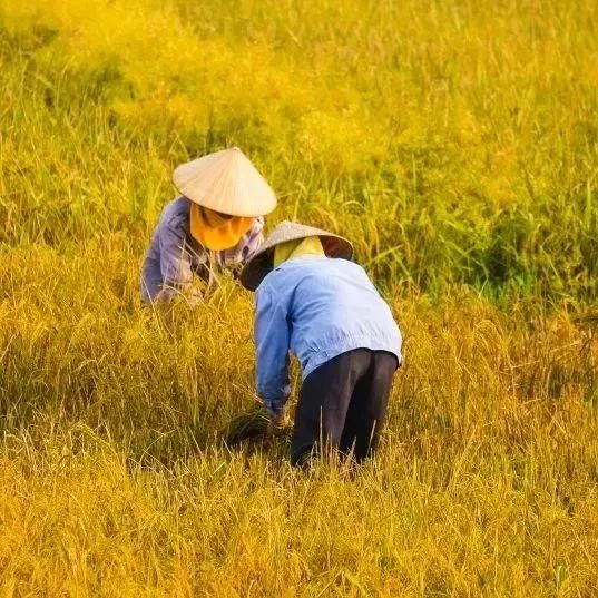 1767003024264247.jpg 640.jpg